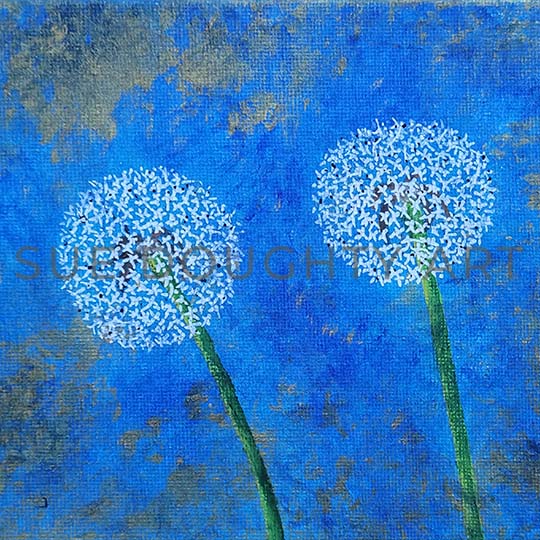 Featured image for “Dandelion crazy”