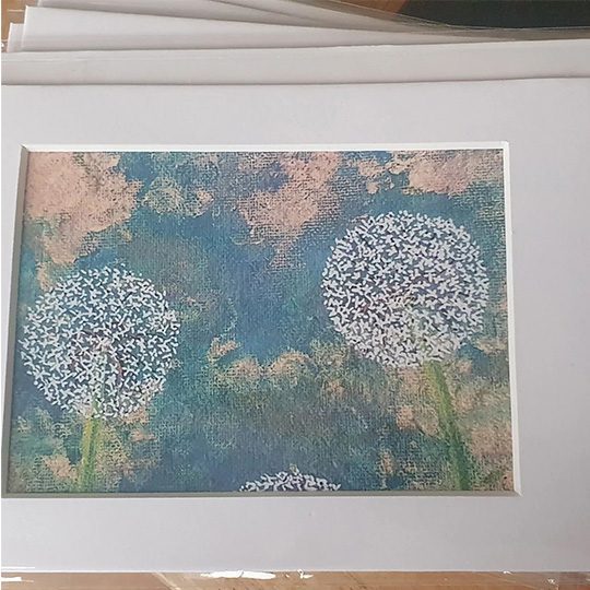 Featured image for “New Mounts”